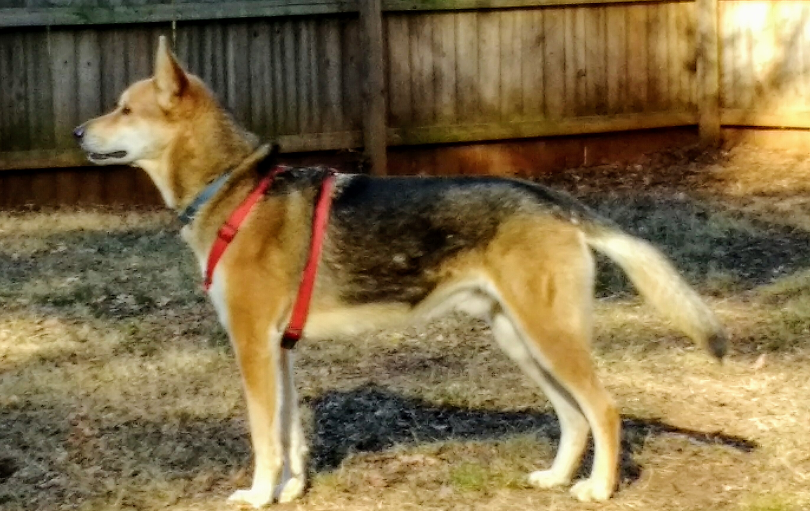 img_20161116_151229788