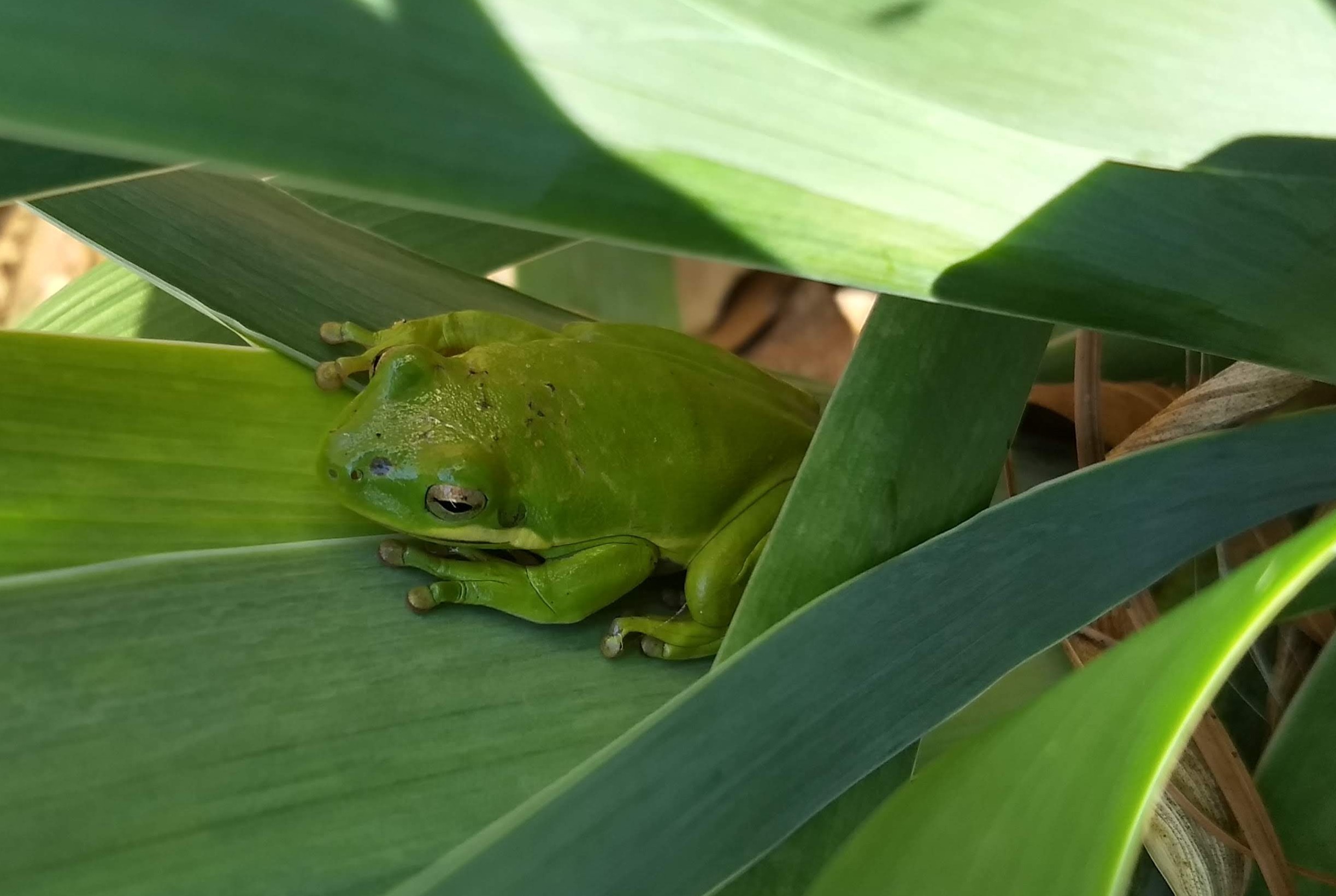 IMG_20220310_162307598_HDR_2